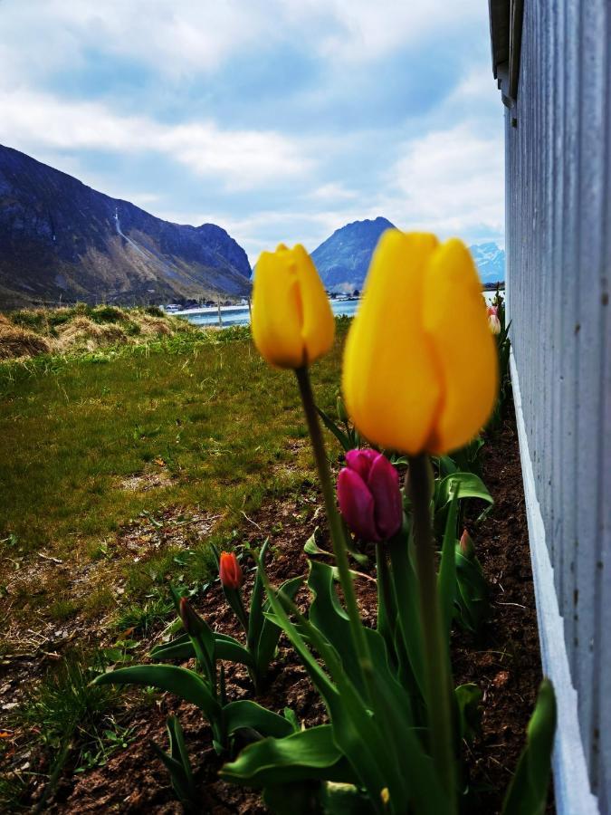 Banpim Beachside Lofoten 람베르그 외부 사진