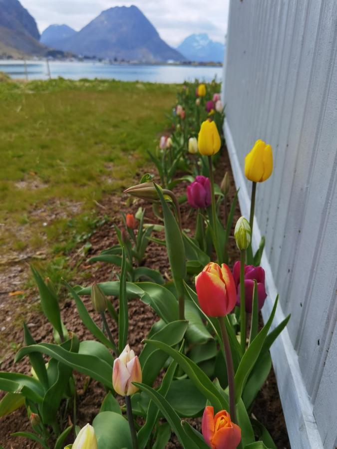 Banpim Beachside Lofoten 람베르그 외부 사진