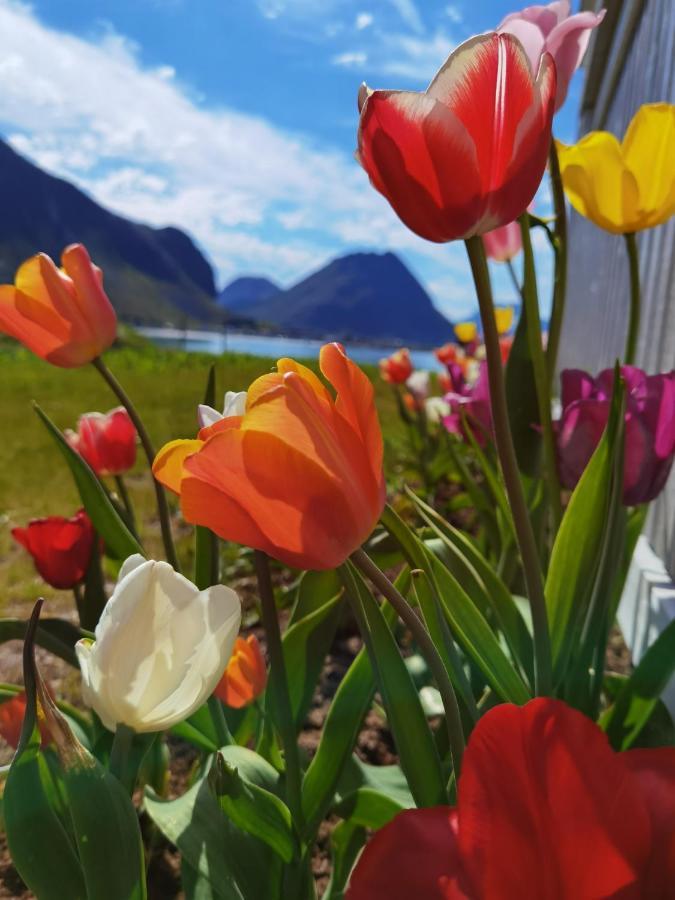 Banpim Beachside Lofoten 람베르그 외부 사진