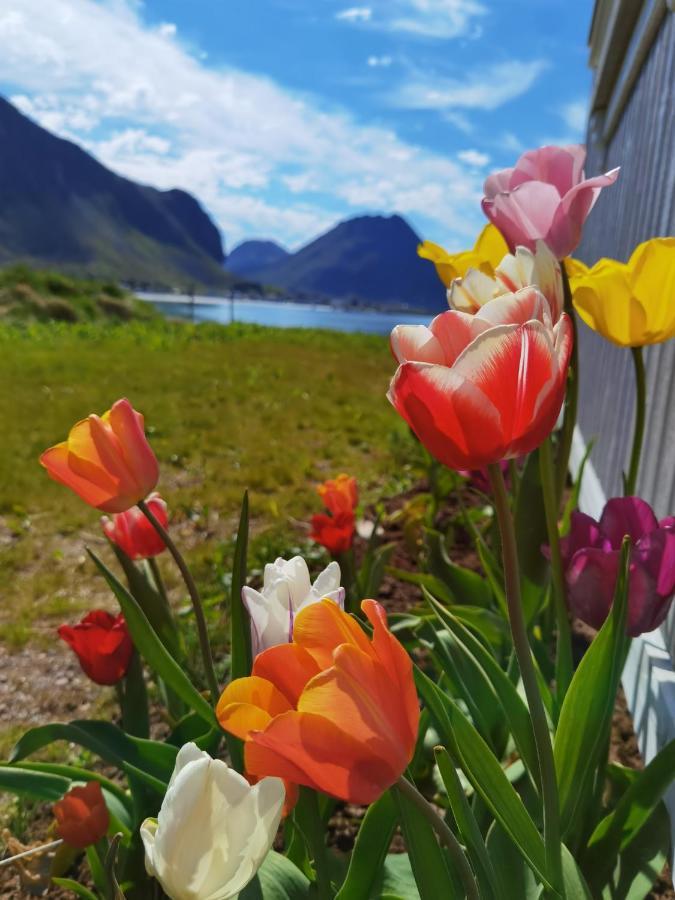 Banpim Beachside Lofoten 람베르그 외부 사진