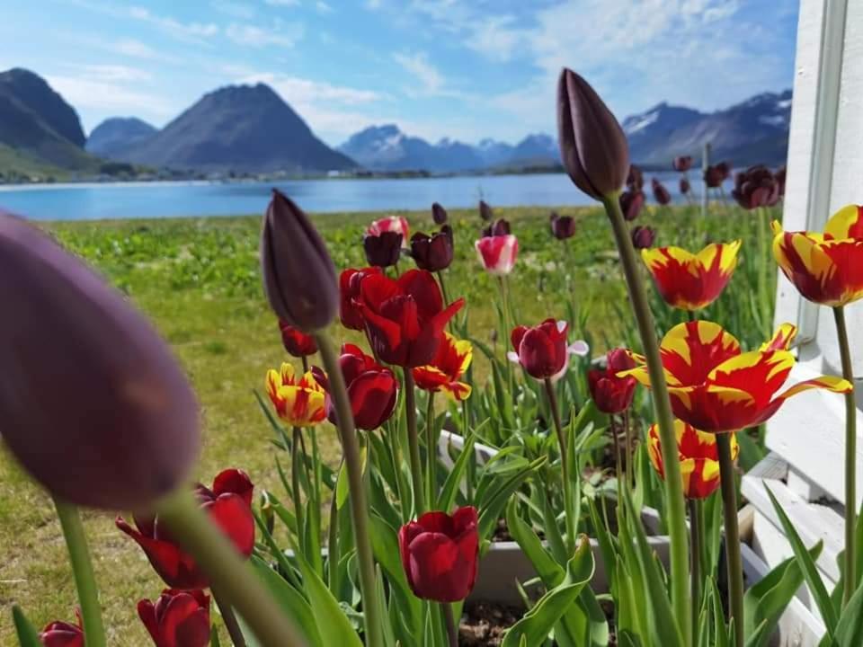 Banpim Beachside Lofoten 람베르그 외부 사진